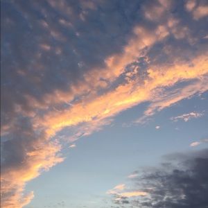 Meet your Posher, Charlotte